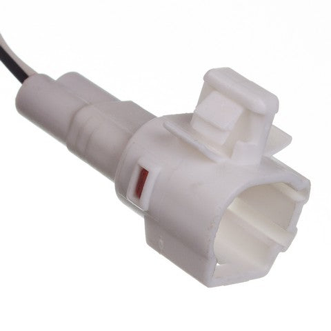HOLSTEIN   2ABS0619