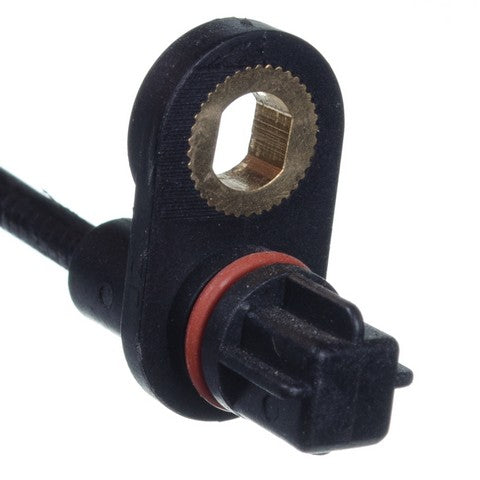 https://www.ShowMeThePartsdb.com/bin/images/HolsteinParts/2ABS0712_02.jpg