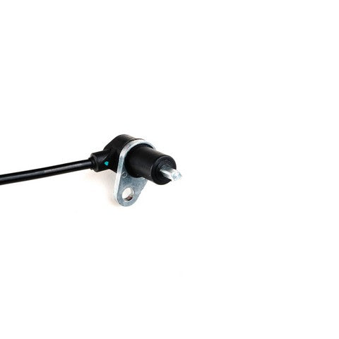 https://www.ShowMeThePartsdb.com/bin/images/HolsteinParts/2ABS1244_07.jpg