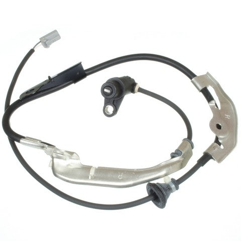 HOLSTEIN   2ABS2101