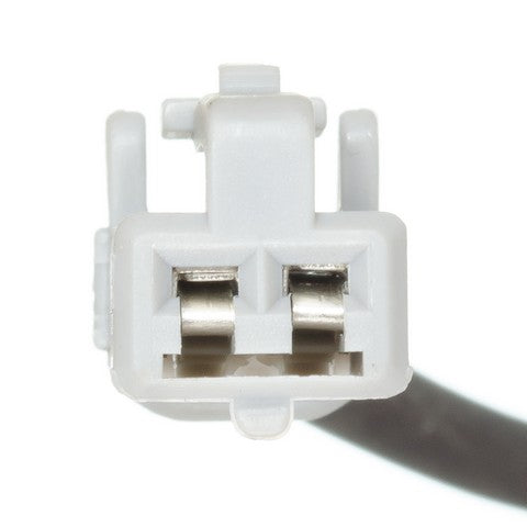 HOLSTEIN   2ABS2101