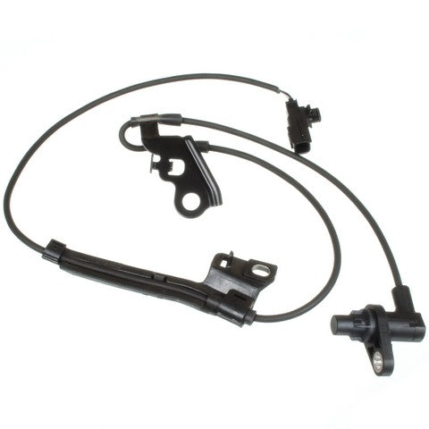 HOLSTEIN   2ABS2666