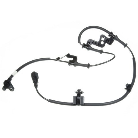 HOLSTEIN   2ABS3018
