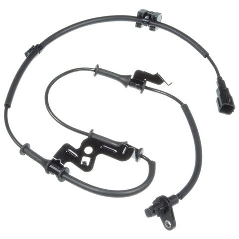 HOLSTEIN   2ABS3019