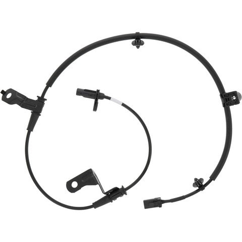 HOLSTEIN   2ABS3650