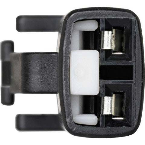 HOLSTEIN   2ABS3650