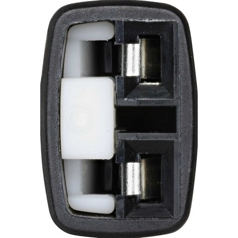 HOLSTEIN   2ABS4196