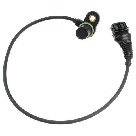 HOLSTEIN Engine Camshaft Position Sensor  2CAM0021