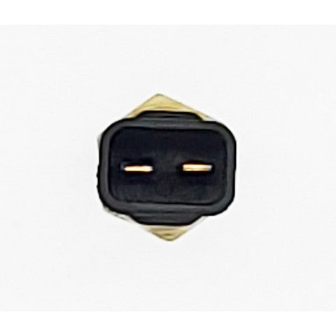HOLSTEIN Engine Coolant Temperature Sensor  2CTS0006