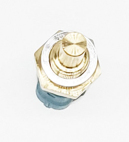 HOLSTEIN Engine Coolant Temperature Sensor  2CTS0044