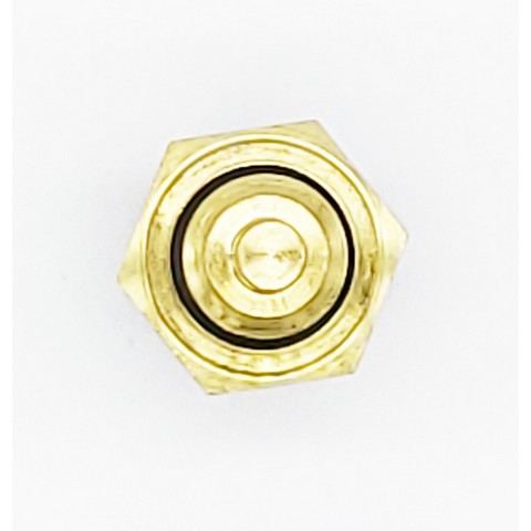 HOLSTEIN Engine Coolant Temperature Sensor  2CTS0059