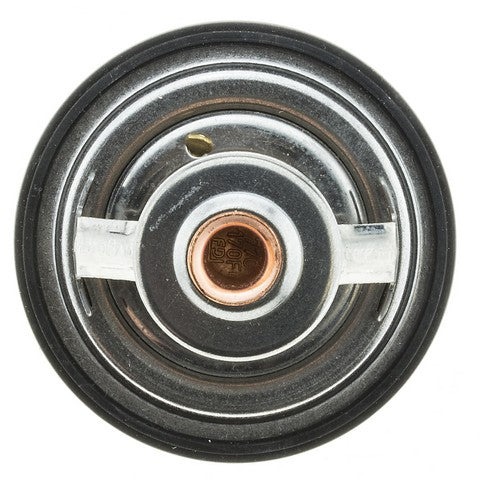 https://www.ShowMeThePartsdb.com/bin/images/MotoRad/301-170_BOTTOM.jpg