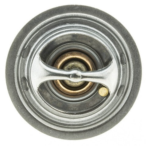 https://www.ShowMeThePartsdb.com/bin/images/MotoRad/302-170_TOP.jpg