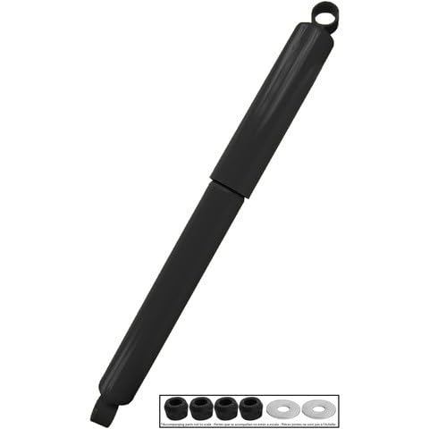 https://m.media-amazon.com/images/I/3173uedfthL.jpg