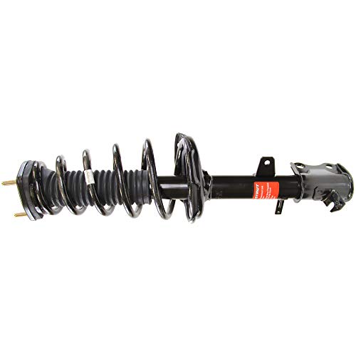 Monroe Shocks & Struts Suspension Strut and Coil Spring Assembly  372489