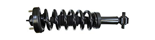 Monroe Shocks & Struts Suspension Strut and Coil Spring Assembly  173032L