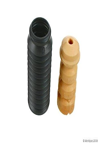https://m.media-amazon.com/images/I/31Kvh-2osyL.jpg