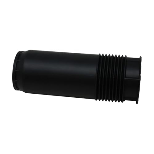 https://m.media-amazon.com/images/I/31Thwi6u-uL.jpg