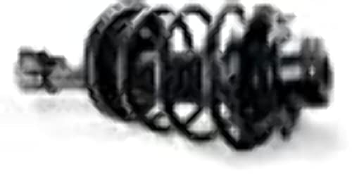 https://m.media-amazon.com/images/I/31fT-WrYzIL.jpg