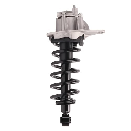 Monroe Shocks & Struts Suspension Strut and Coil Spring Assembly  173361