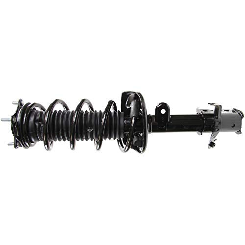Monroe Shocks & Struts Suspension Strut and Coil Spring Assembly  172491