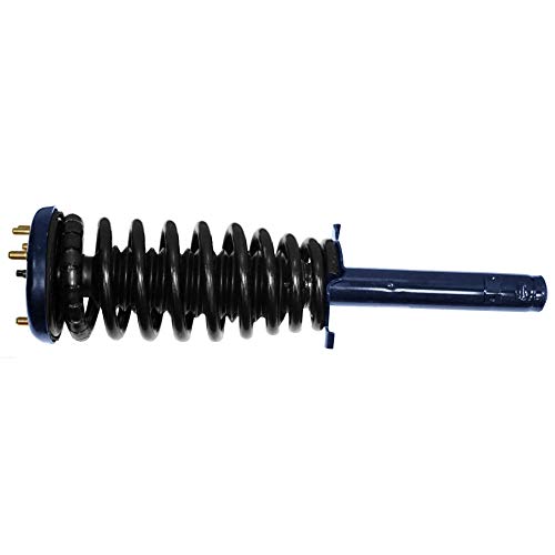 Monroe Shocks & Struts Suspension Strut and Coil Spring Assembly  181691L