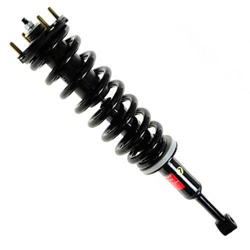 Monroe Shocks & Struts Suspension Strut and Coil Spring Assembly  171119L