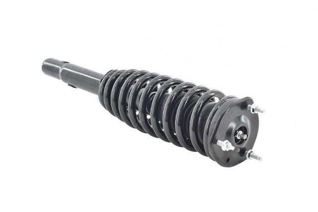 Focus Auto Parts Suspension Strut and Coil Spring Assembly  3335801L