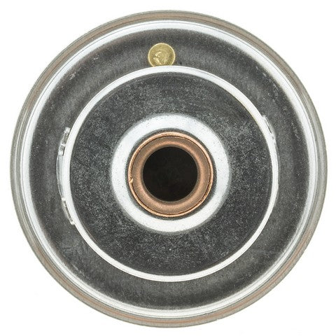 https://www.ShowMeThePartsdb.com/bin/images/MotoRad/335-192_BOTTOM.jpg