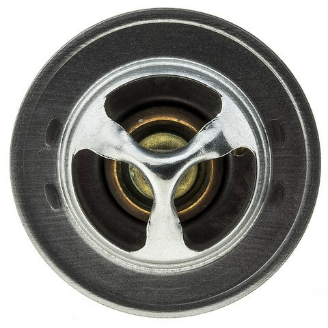 https://www.ShowMeThePartsdb.com/bin/images/MotoRad/338-195_TOP.jpg