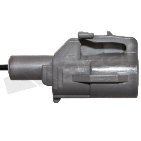 Walker Products Oxygen Sensor  350-31005