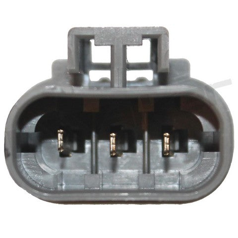 https://www.ShowMeThePartsdb.com/bin/images/WalkerProducts/350-33004_4.jpg