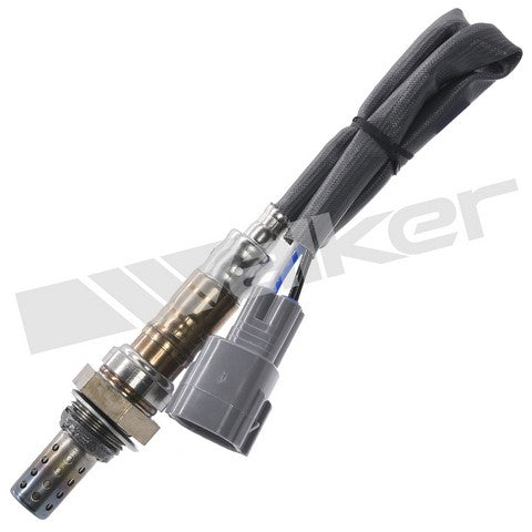 Walker Products Oxygen Sensor  350-34052