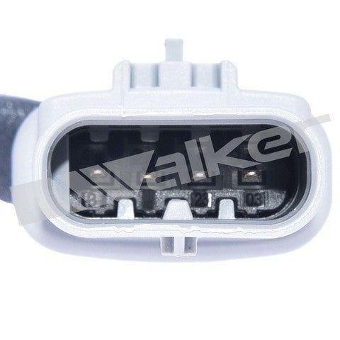 Walker Products Oxygen Sensor  350-341064