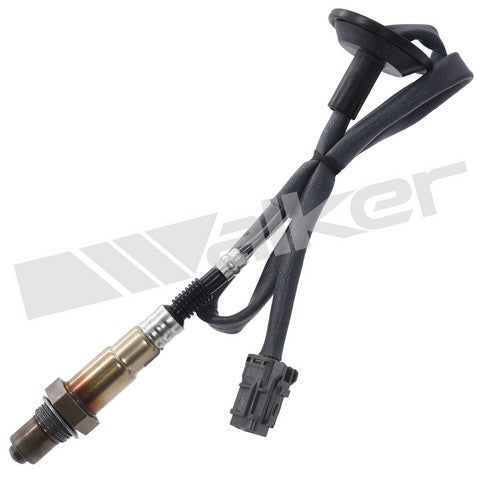 Walker Products Oxygen Sensor  350-341066