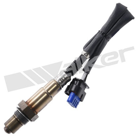 Walker Products Oxygen Sensor  350-341081