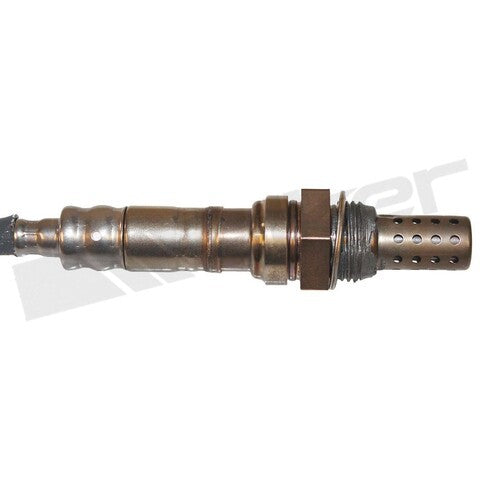 Walker Products Oxygen Sensor  350-34131