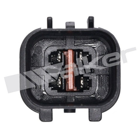 https://www.ShowMeThePartsdb.com/bin/images/WalkerProducts/350-34173_3.jpg