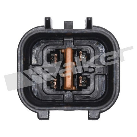 https://www.ShowMeThePartsdb.com/bin/images/WalkerProducts/350-34174_3.jpg
