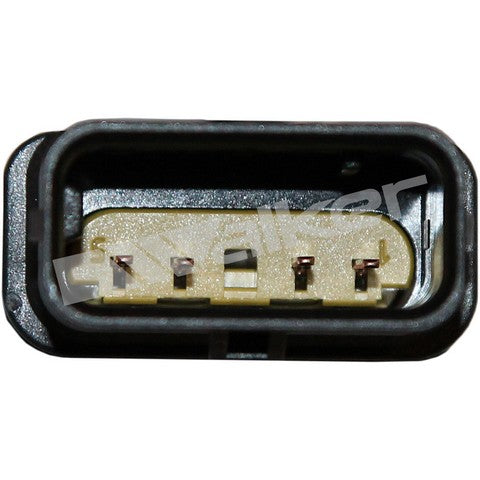 https://www.ShowMeThePartsdb.com/bin/images/WalkerProducts/350-34229_4.jpg