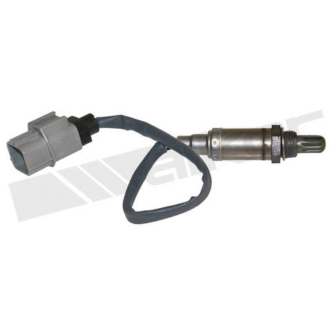 Walker Products Oxygen Sensor  350-34382