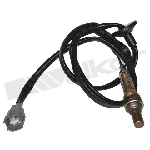 Walker Products Oxygen Sensor  350-34503