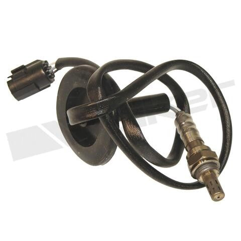 Walker Products Oxygen Sensor  350-34519