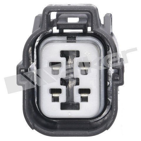 https://www.ShowMeThePartsdb.com/bin/images/WalkerProducts/350-64001_3.jpg