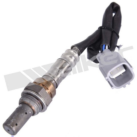 Walker Products Oxygen Sensor  350-64013