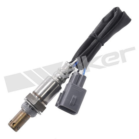 Walker Products Oxygen Sensor  350-64017