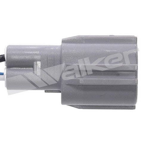 Walker Products Oxygen Sensor  350-64024