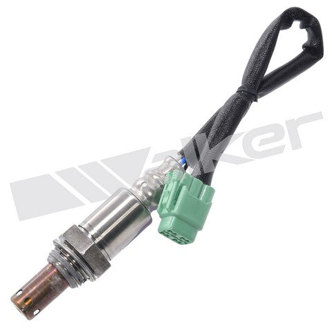 Walker Products Oxygen Sensor  350-64036