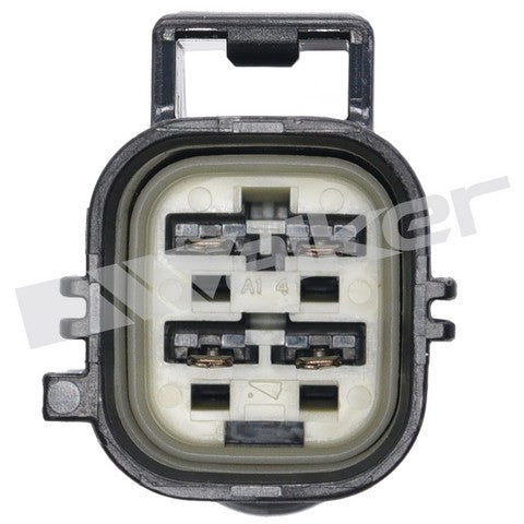 https://www.ShowMeThePartsdb.com/bin/images/WalkerProducts/350-64038_3.jpg