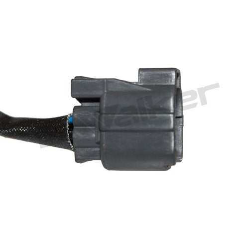 Walker Products Oxygen Sensor  350-64042